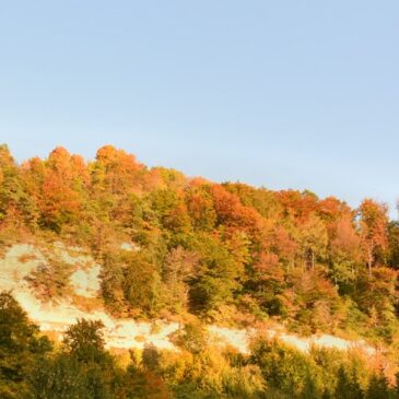 Parure d’automne